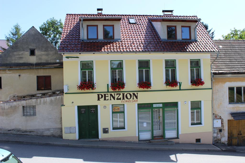 Penzion Gomelská Apartamento Horní Stropnice Exterior foto